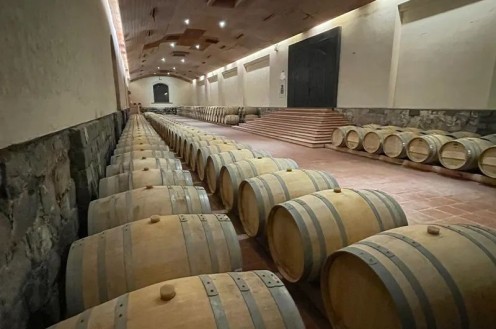 Centro Del Viño Concha y Toro - Foto 2